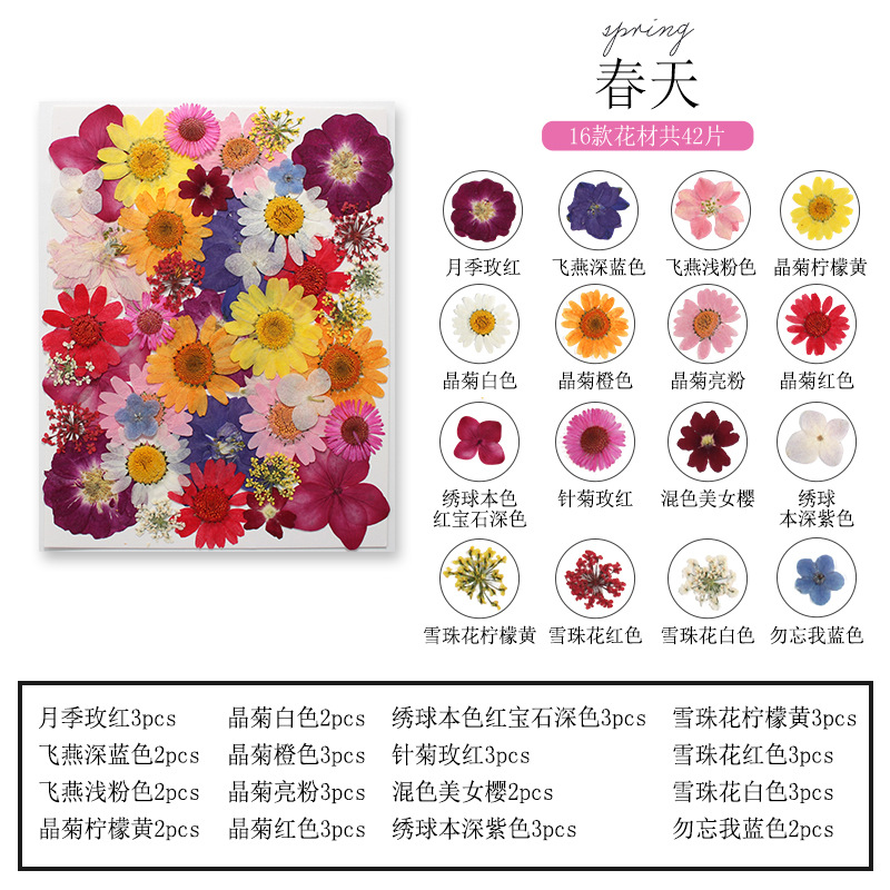 天然植物の花と葉のセットブックマーク、本物の花と樹脂の混合パ - Dried Flower Bookmark のレビューと価格